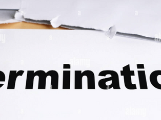 Nikita Pillay - Terminating an employee’s service