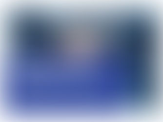 TWIMS Ambassador Scholarship