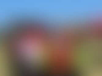 High five’s all around at Tafta’s Senior Sports Day