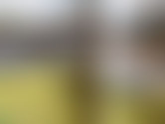 South Coast Tourism and Investment Enterprise bringing investment to the KZN south coast