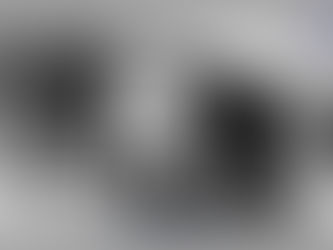 Empowering Success: Bashini Mahomed's Journey to Leading Dynamic Shipping Services