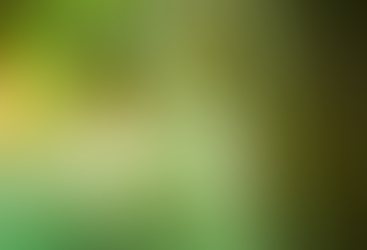 Sappi delivers solid results in difficult economic climate