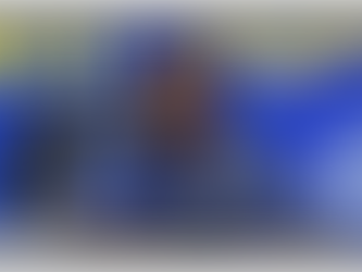 THE REAPPOINTMENT OF KWAZULU-NATAL PROVINCIAL POLICE COMMISSIONER LT GEN NHLANHLA MKHWANAZI