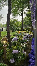 The Metamong Garden brings to life Ditto (known as Metamong in Korean)