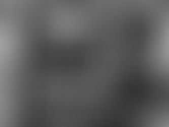 Where to buy pet supplies in Korea