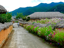  Hahoe Folk Village from Andong, korean traditional houses and man on a bicycle