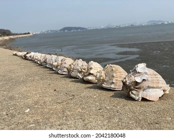 Yeongjong Island - 영종도 Korea to visit in South Korea