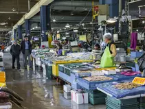 Garak Market/가락시장 (Garak-dong Agricultural & Marine Products Market)