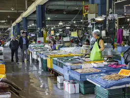  Garak Market/가락시장 (Garak-dong Agricultural & Marine Products Market)