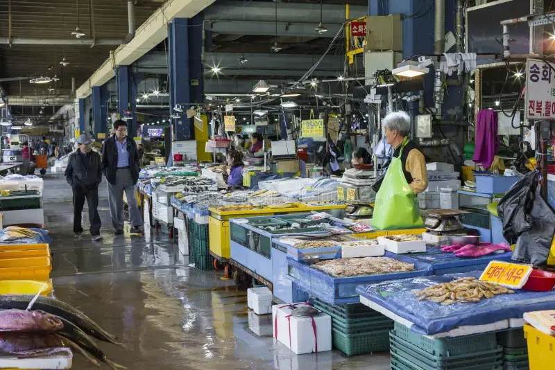 Garak Market/가락시장 (Garak-dong Agricultural & Marine Products Market)