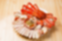 Blue Crab & Snow Crab (꽃게 & 대게)