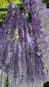 The Metamong Garden brings to life Ditto (known as Metamong in Korean)