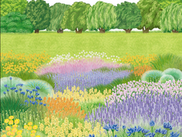 2025 Seoul International Garden Expo, now open at Boramae Park! From May 22 to October 20, 2025