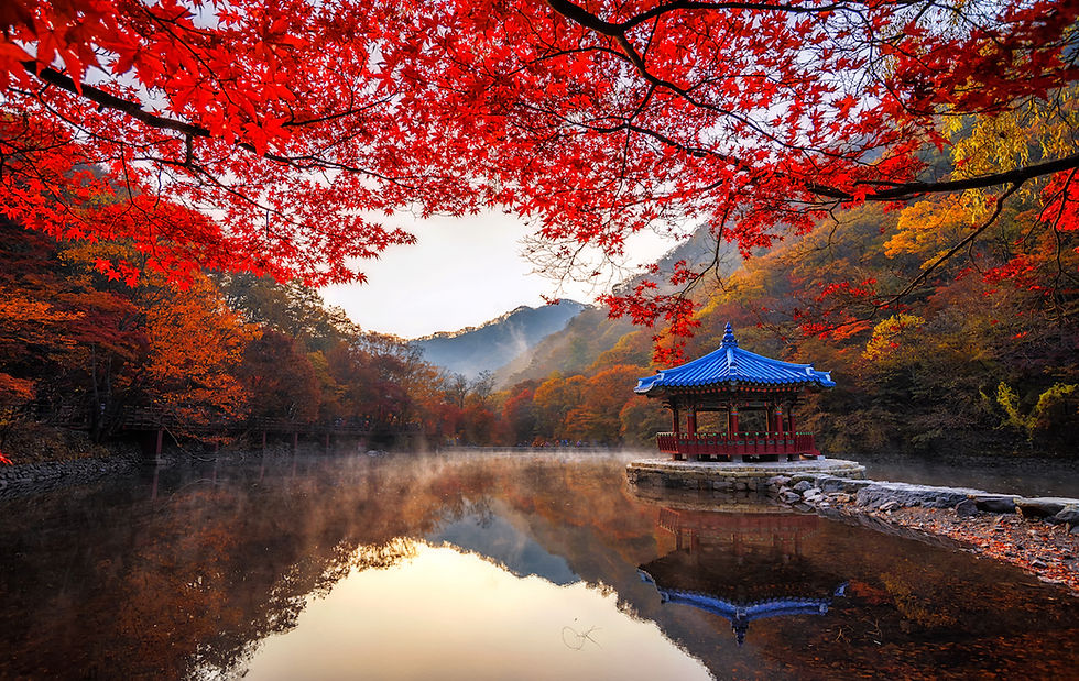 Naejangsan Mountain Korea