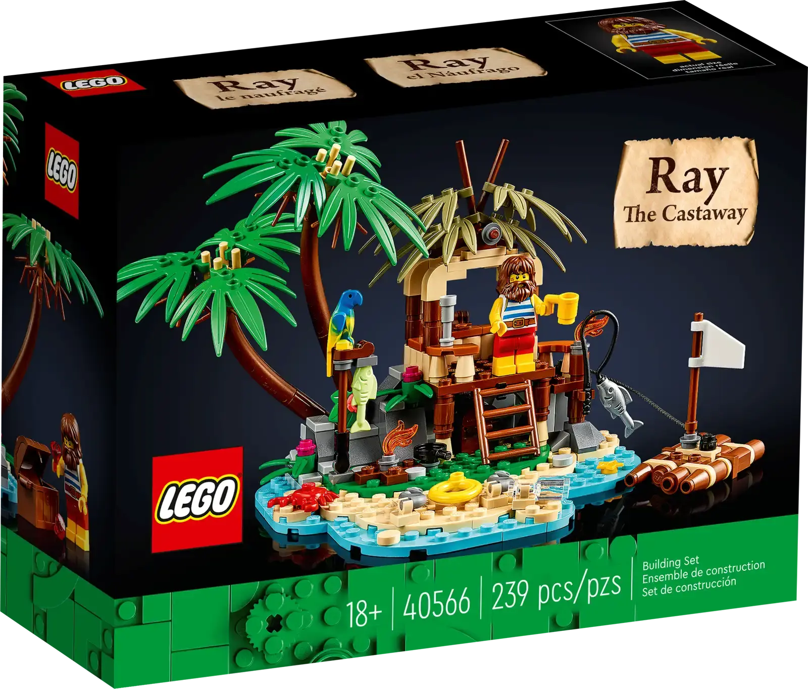 40566 Ray the Castaway