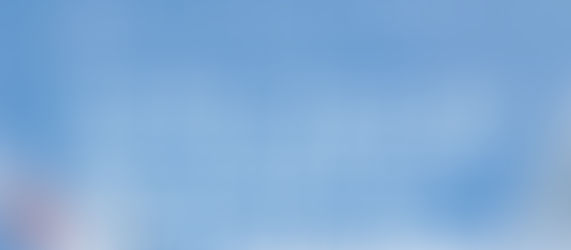 Cheaper Flights: Booking on JAL's Domestic Website vs International Website