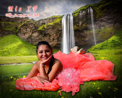 xv_años__cascada_bien