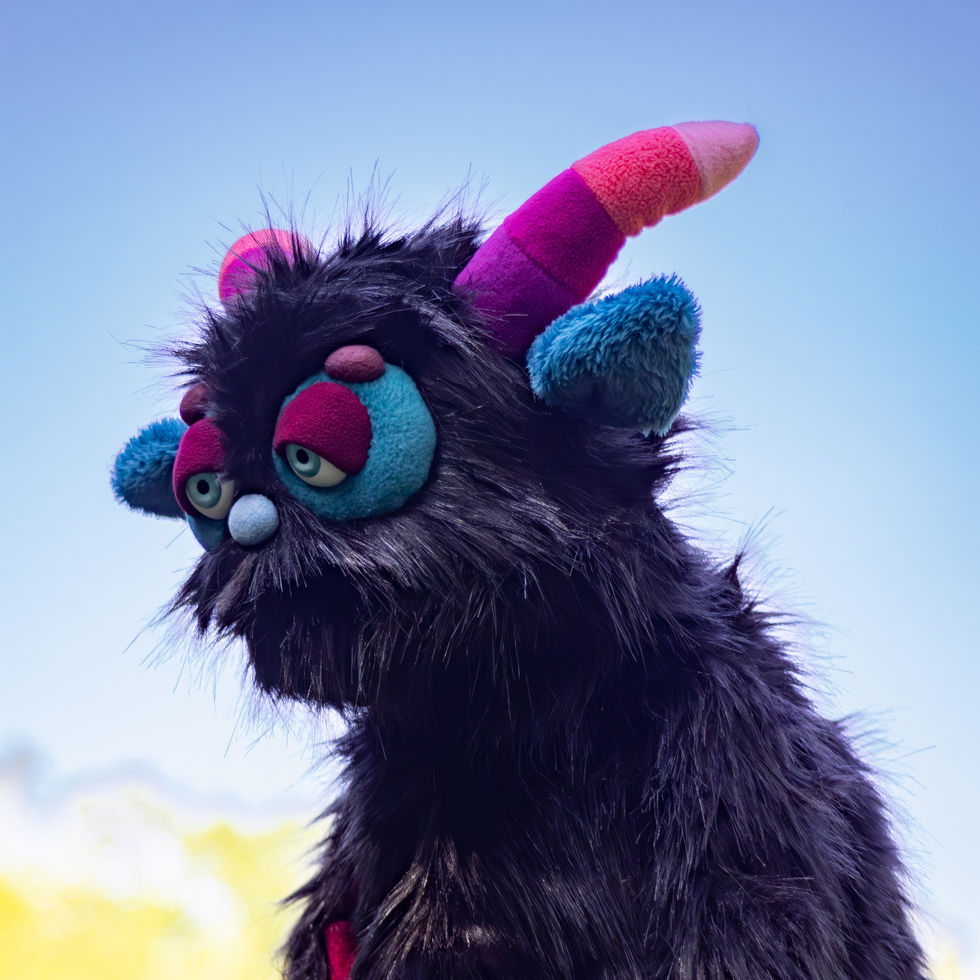 hand puppet, professional ,custom, one of a kind