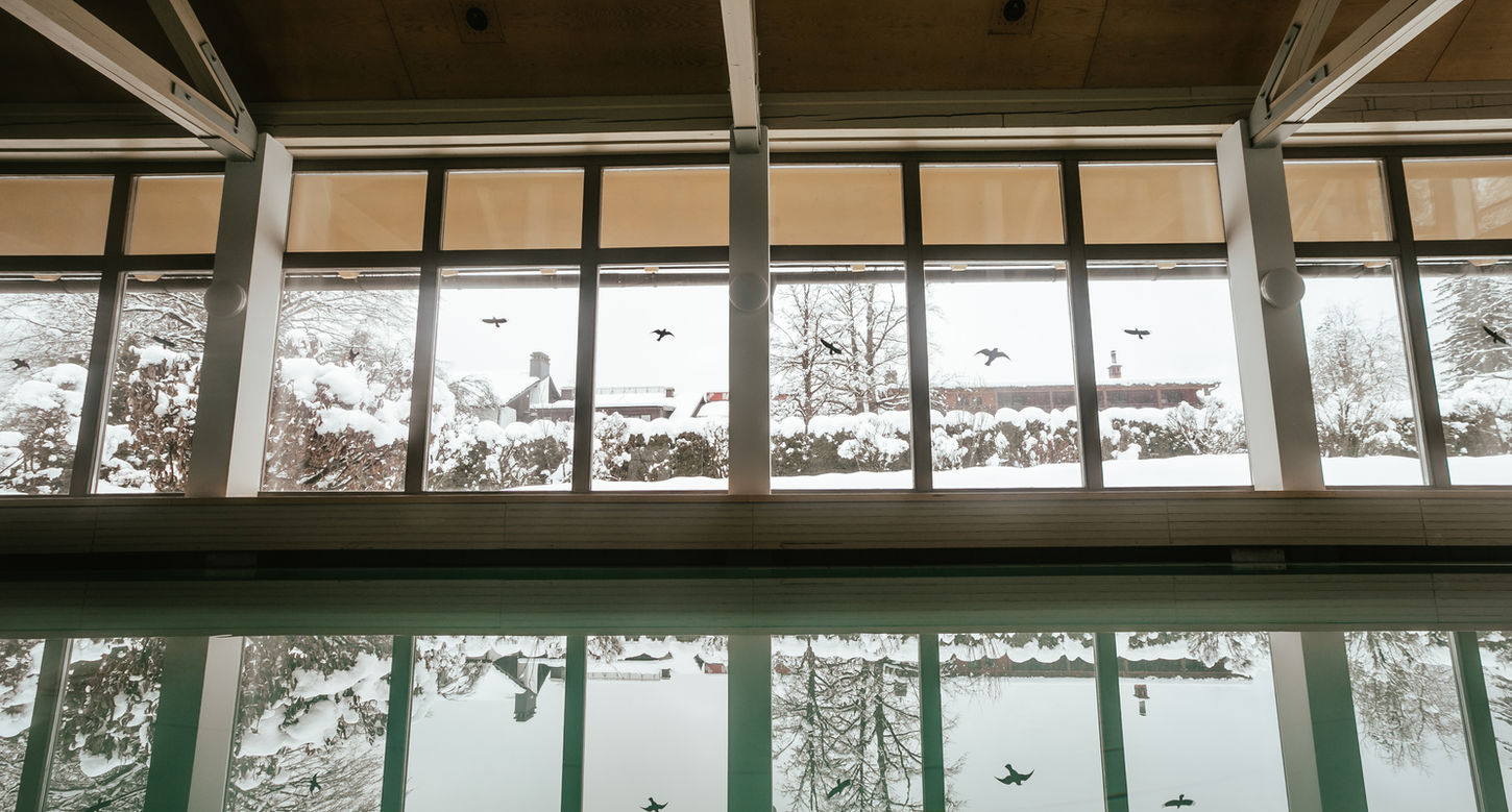 bohinj in bled-30.jpg