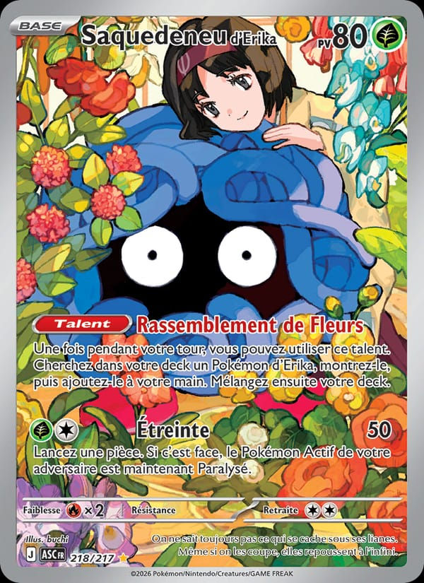 Saquedeneu d'Erika 218/217 Héros Transcendants (FR)