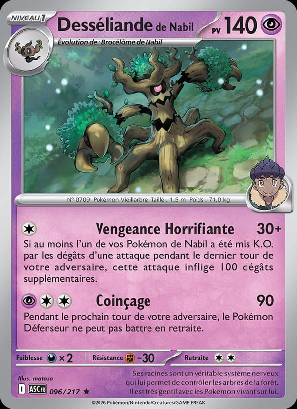 Desséliande de Nabil 096/217 Héros Transcendants (FR)
