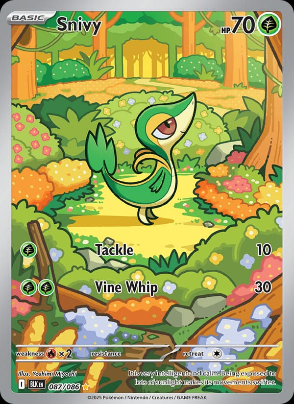 Snivy 087/086 Black Bolt (EN)