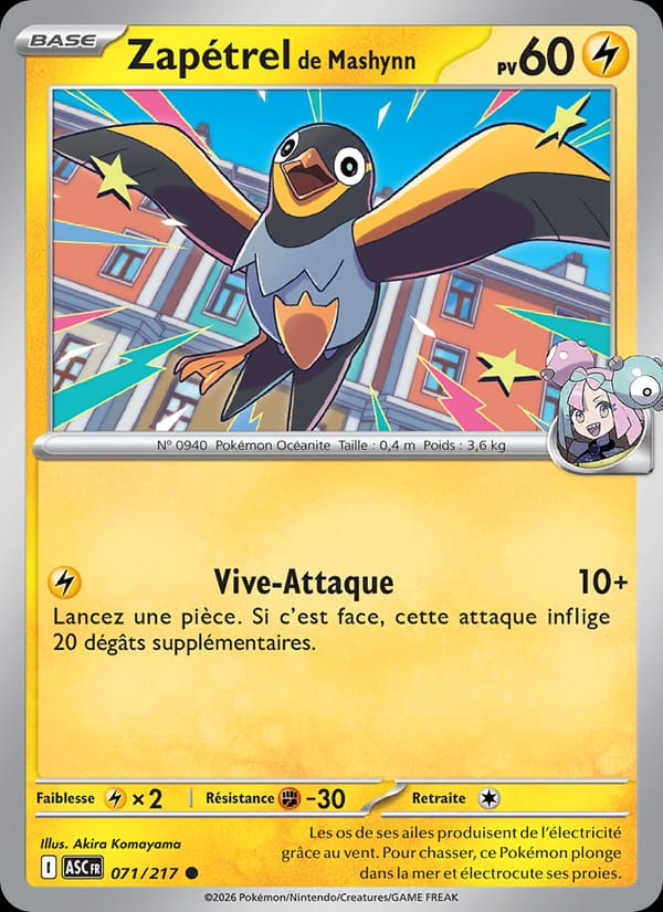 Zapétrel de Mashynn 071/217 Héros Transcendants (FR)