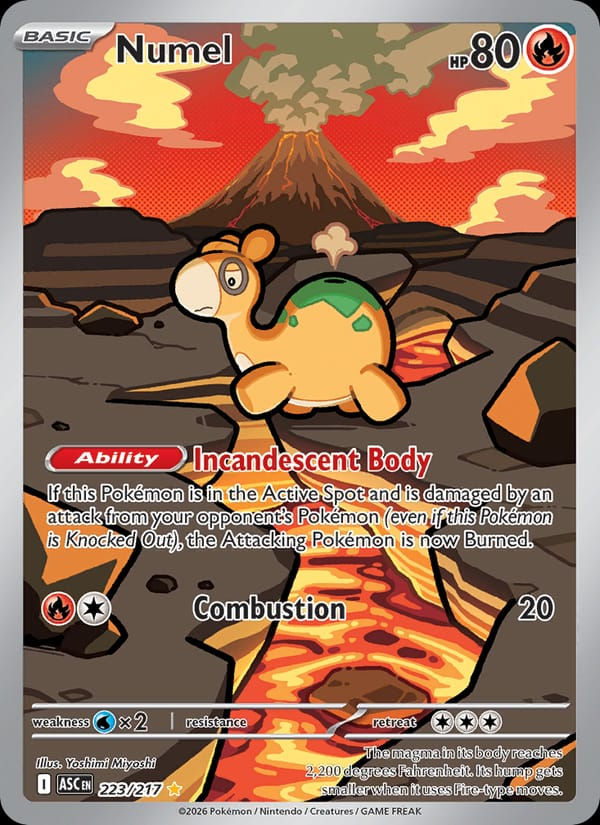 Numel 223/217 Ascended Heroes (EN)