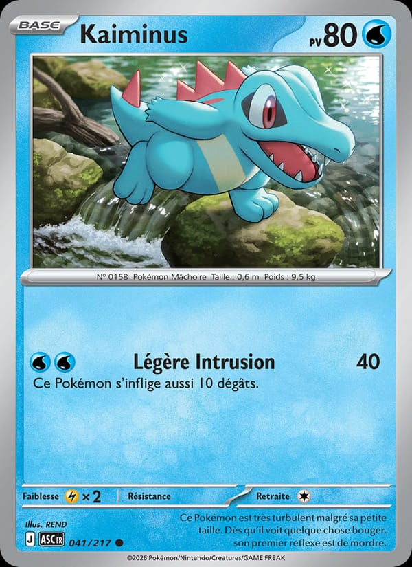 Kaiminus 041/217 Héros Transcendants (FR)
