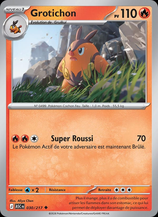 Grotichon 030/217 Héros Transcendants (FR)