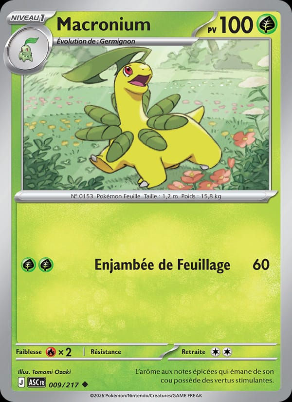 Macronium 009/217 Héros Transcendants (FR)