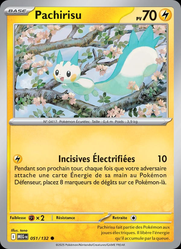 Pachirisu 051/132 Méga-Évolution (FR)