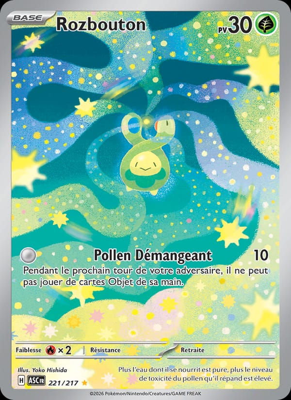 Rozbouton 221/217 Héros Transcendants (FR)