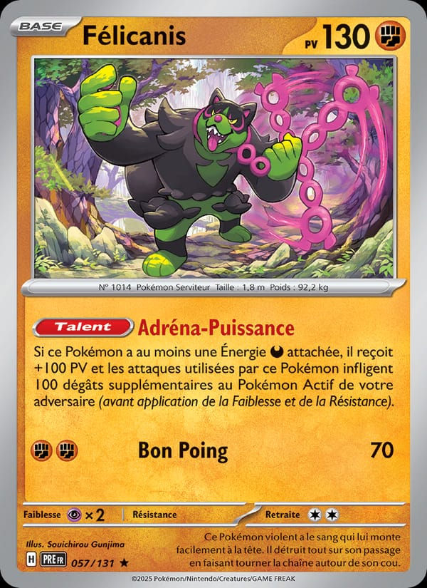 Félicanis 057/131 Évolutions Prismatiques (FR)