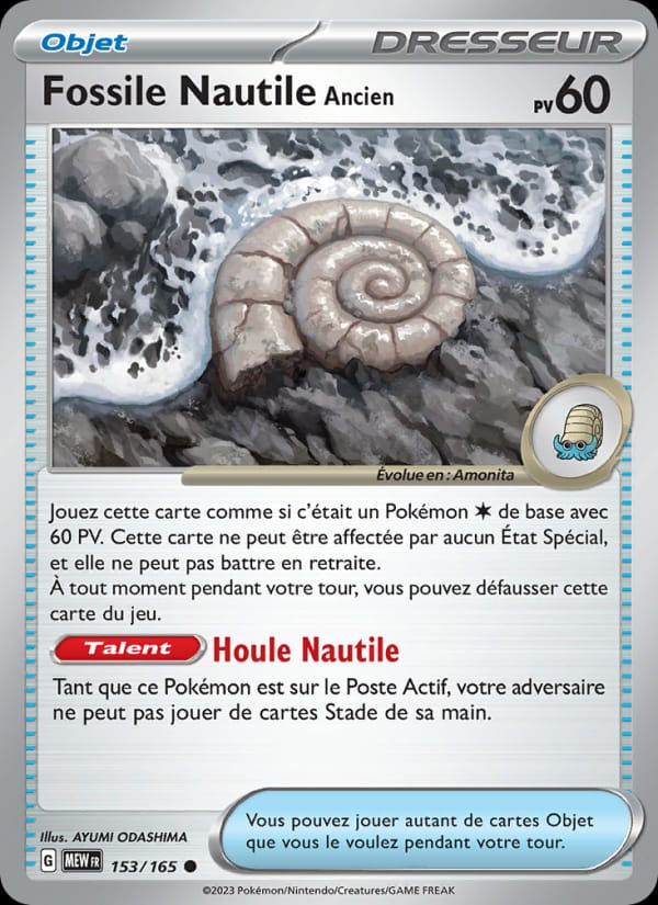 Fossile Nautile Ancien 153/165 151 (FR)