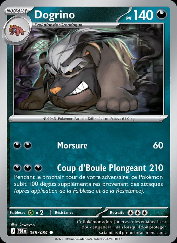 Dogrino 058/084 Nuit Noire (FR)