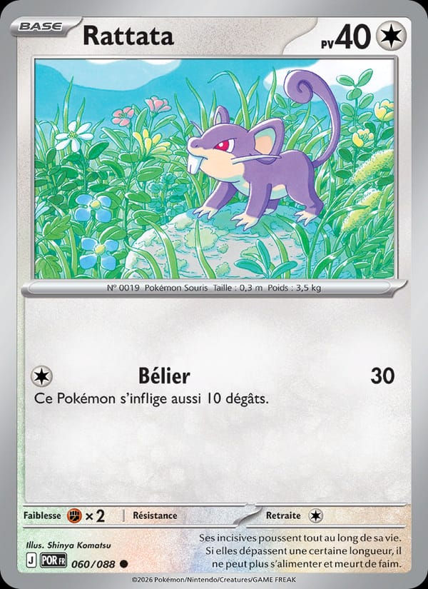 Rattata 060/088 Équilibre Parfait (FR)