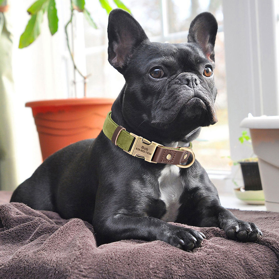 Thumbnail: Premium Personalized PU Leather Dog Collar – Free Customization