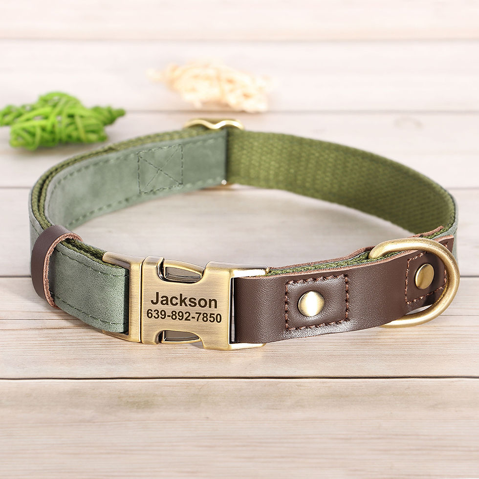 Thumbnail: Premium Personalized PU Leather Dog Collar – Free Customization