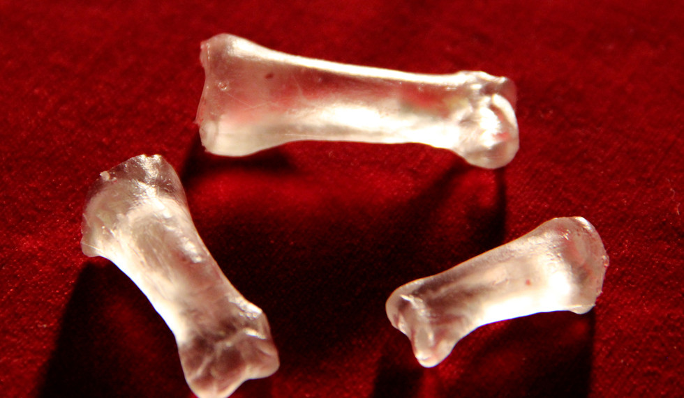 knucklebones (game pieces for divination)
