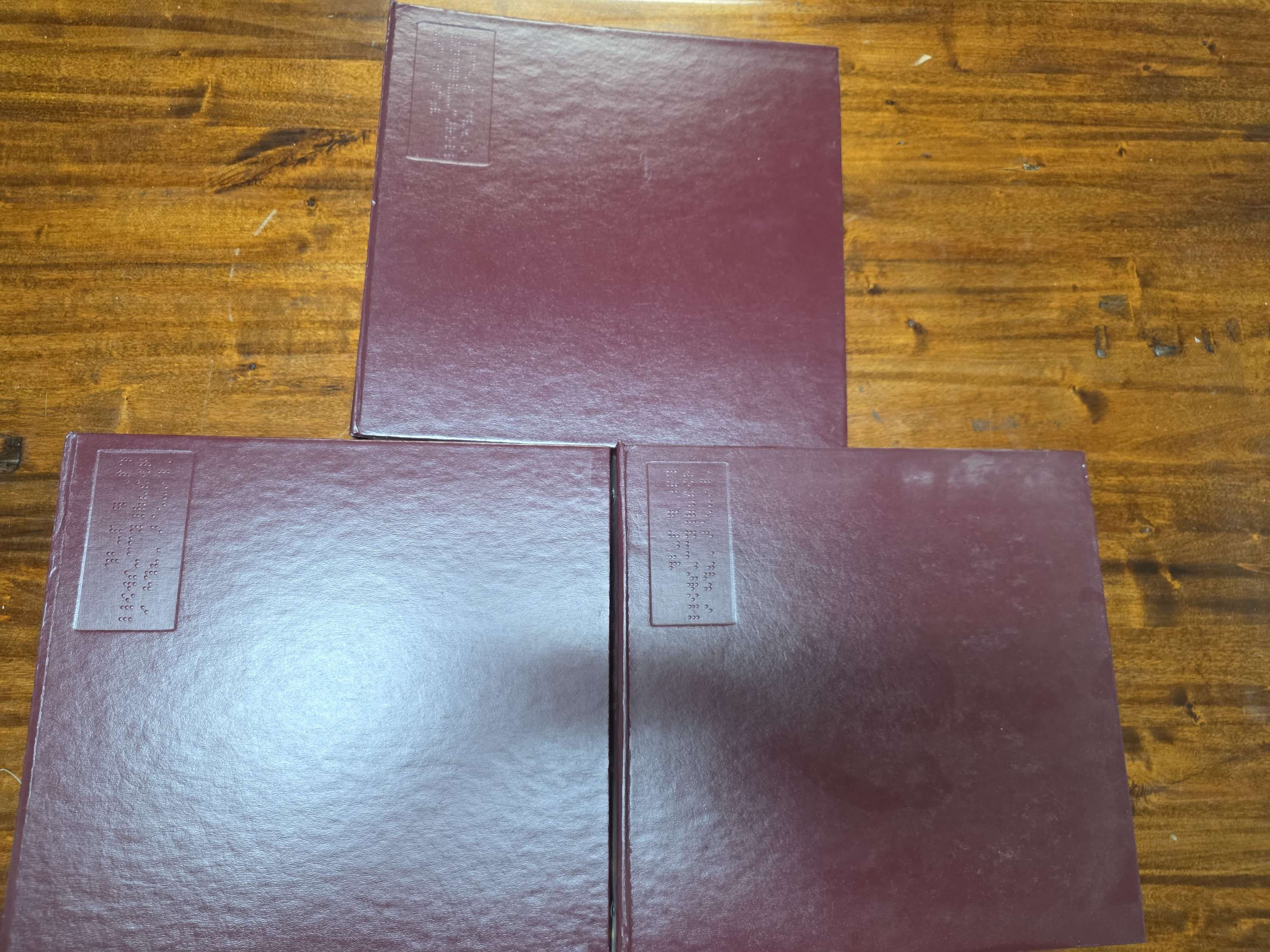 Alice's adventures in wonderland and through the looking Glass Braille