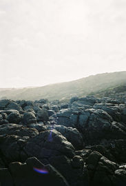 35mm-1000006.jpg