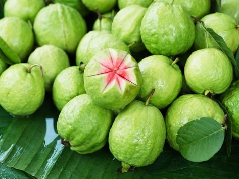Nutritional Composition of the GUAVA Super Fruit