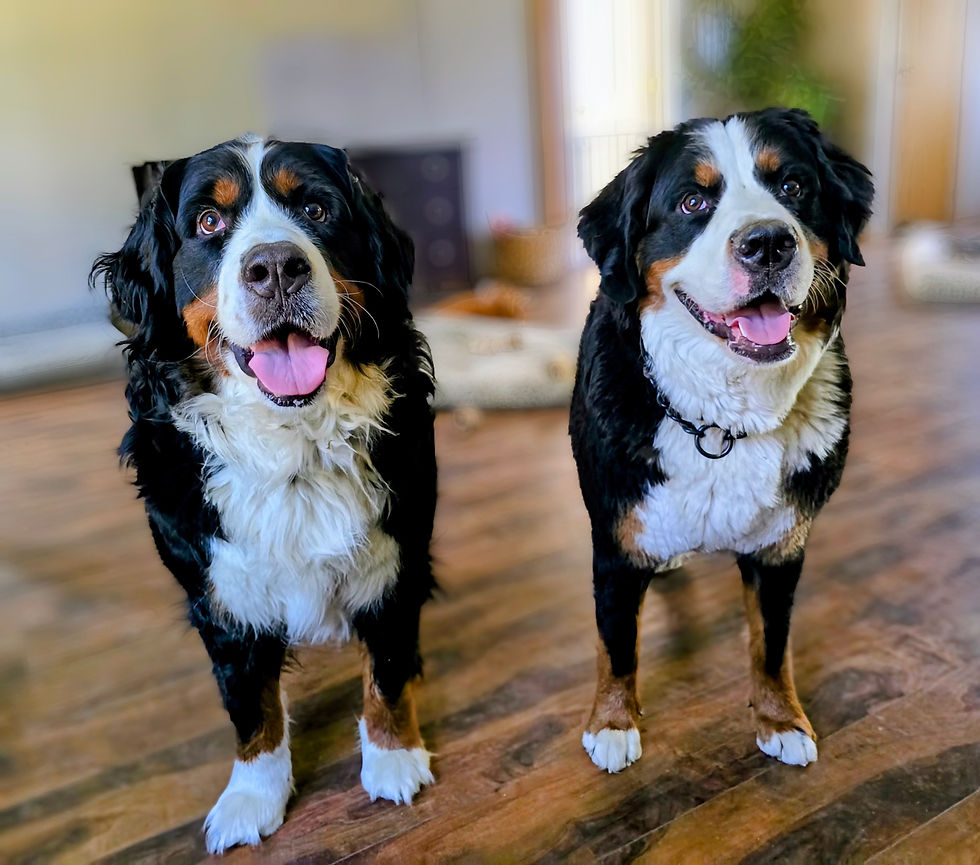 “Business, Grief, and Google Calendar: My Life’s Weird New Trio”