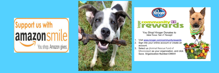 animal rescue number