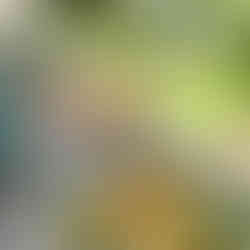 Rántott csirkecomb zöldfűszeres burgonyapürével 