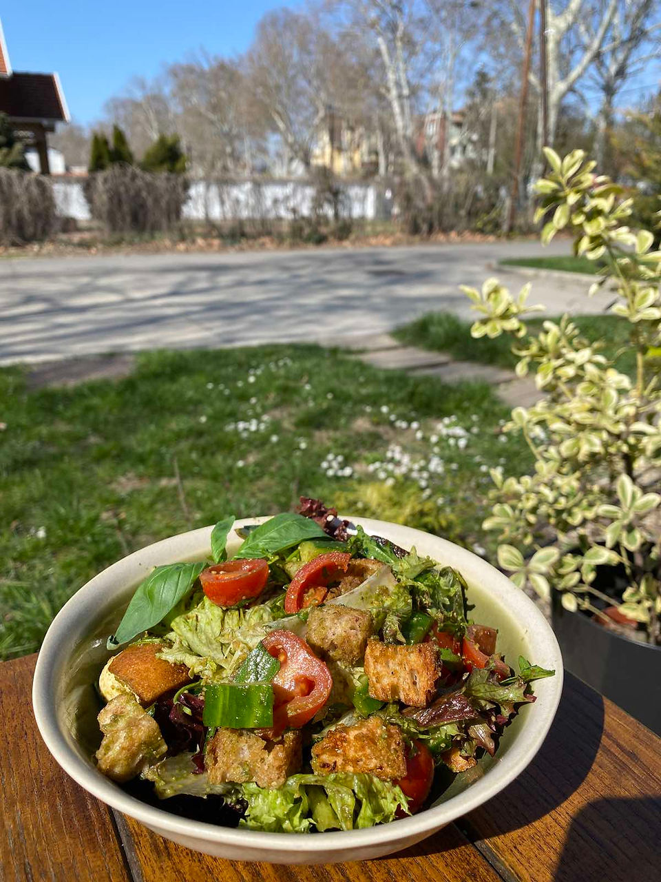 Panzanella bazsalikomos mozzarellával