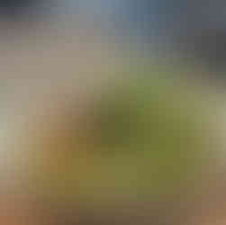 Almás rakott burgonya