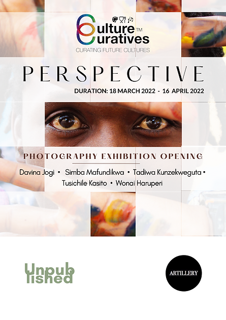 PERSPECTIVE EXHIBITION