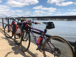 Day 7 - our trusty bicycles